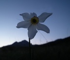 DSCF0346_2