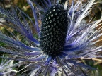 DSCF1728_2