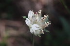 IMG_8626