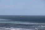 IMG 8908