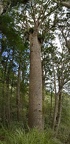 PXL 20210404 224357487.PANO
